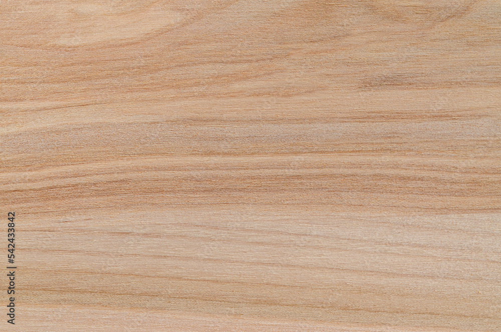 Wood texture. Lining boards wall. Wooden background. pattern. Showing growth rings Wood texture. Lining boards wall. Wooden background. pattern. Showing growth rings