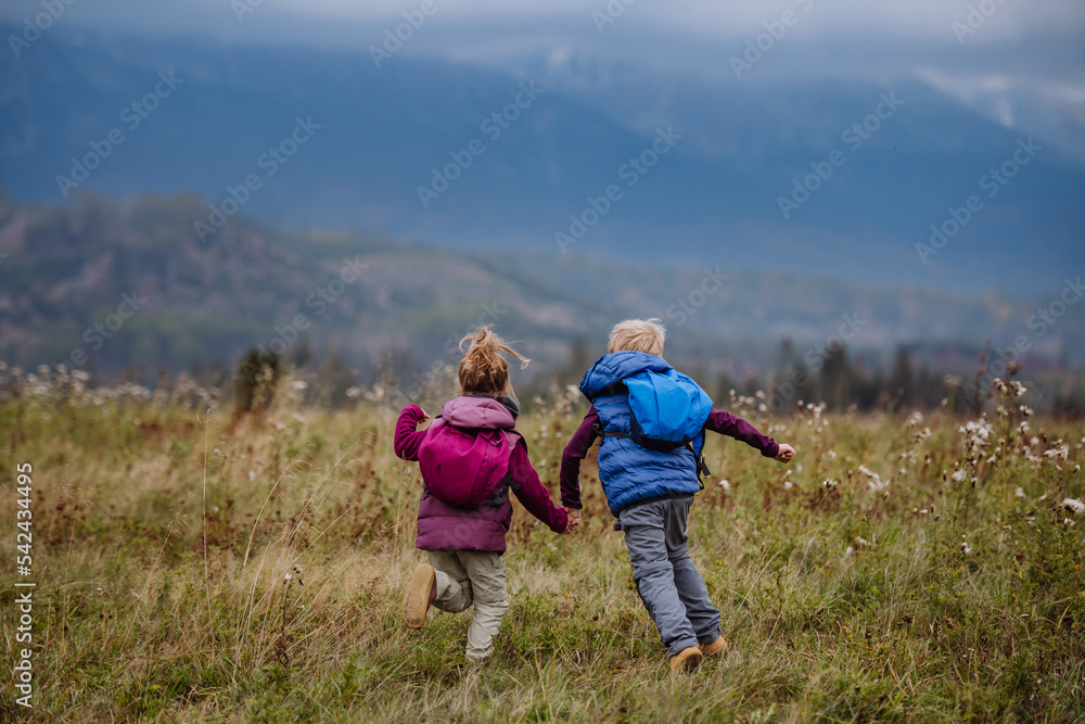 Rear view of little children runing at autumn meadow.