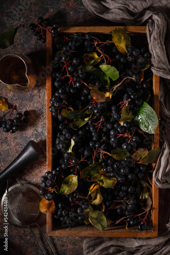 fresh black berries in a wooden box. Low key. Drama. Dark photo