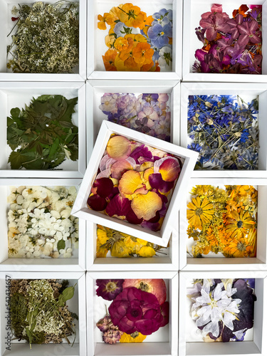 A group of various dried pressed flowers in white box. Basic material for contemporary botanical art. Plants for scrapbooking, wedding invitations, greeting cards, gift box decorations.