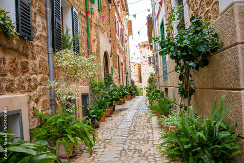 Fototapeta Naklejka Na Ścianę i Meble -  Mediterranean alley in the old town of Mallorca with many green plants in flower pots. Cobblestones lead between beige brick houses. Colorful flags are stretched between them.