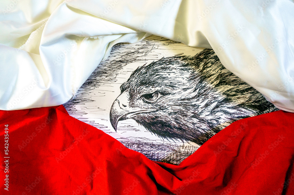 Rysunek orła między białą i czerwoną tkaniną. Symbol Polski.  - obrazy, fototapety, plakaty 