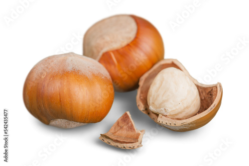 Forest nuts hazelnuts isolated on white background