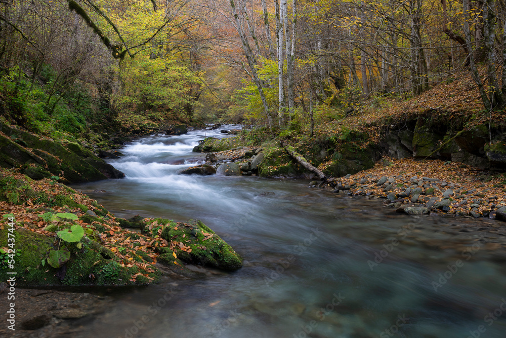 Waterfall flowing through rocks in a deep forest, autumn landscape