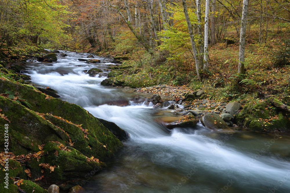 Waterfall flowing through rocks in a deep forest, autumn landscape Waterfall flowing through rocks in a deep forest, autumn landscape