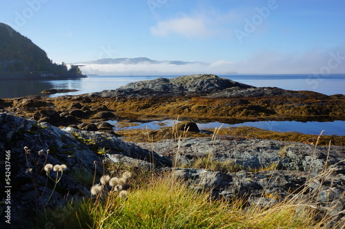 View from Korsvika beach in Trondheim. Norway photo