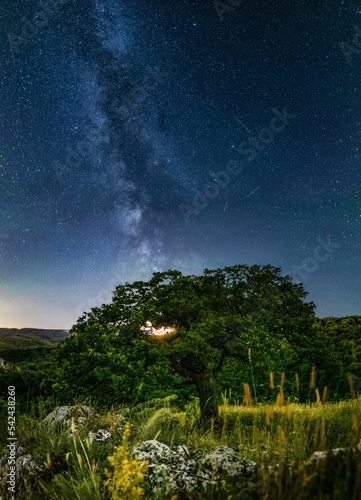 Vertical shot of a green landscape under the magical starry sky