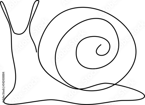 Line Drawing Snail