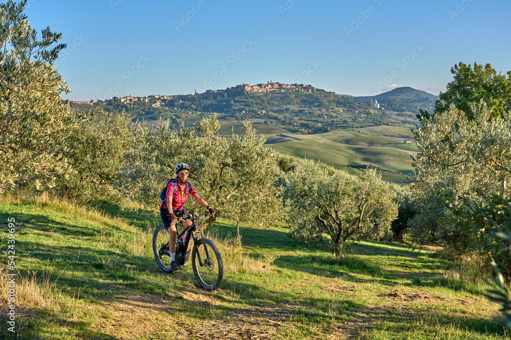 Obraz premium nice senior woman riding her electric mountain bike between olive trees in the Ghianti area with medieval city of Montepulciano in background, Tuscany , Italy