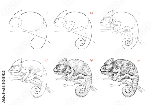 Page shows how to learn to draw sketch of chameleon. Creation step by step pencil drawing. Educational page for artists. Textbook for developing artistic skills. online education. vector image. photo