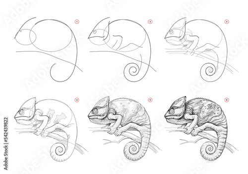 Page shows how to learn to draw sketch of chameleon. Creation step by step pencil drawing. Educational page for artists. Textbook for developing artistic skills. online education. vector image.