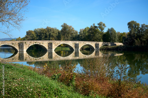 famous bridge of Ponte Buri...
