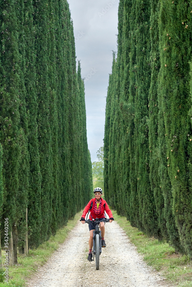 Obraz premium nice senior woman riding her electric mountain bike in a cypress avenue in the Chianti area near Pienza, Tuscany , Italy