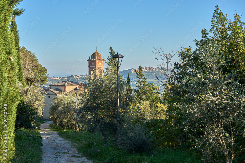 tuscan Landscape with cypress and olive trees and city of Montepulcian in background