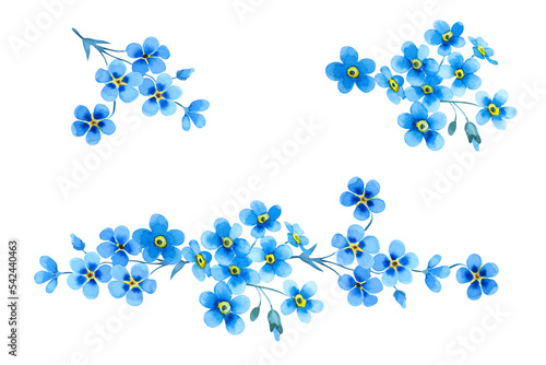Set of beautiful blue forget-me-not flowers. Delicate floral branches and leaves isolated on white background. Hand drawn watercolor. photo