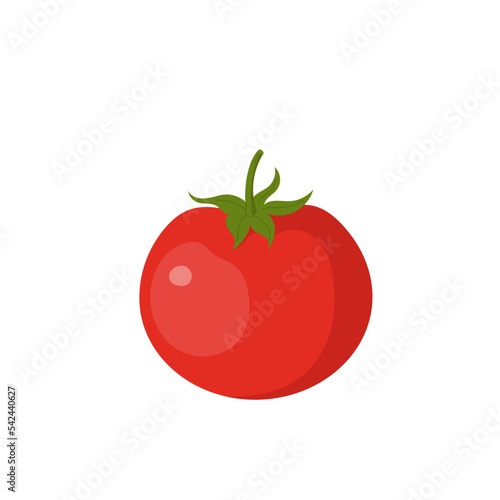 Vector illustration of fresh tomato.