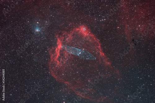 ダイオウイカ星雲とフライングバット星雲 photo