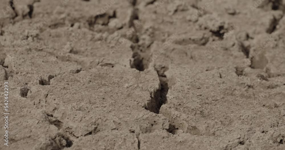 Dry cracked soil during heavy drought in summer season, motion view Dry cracked soil during heavy drought in summer season, motion view