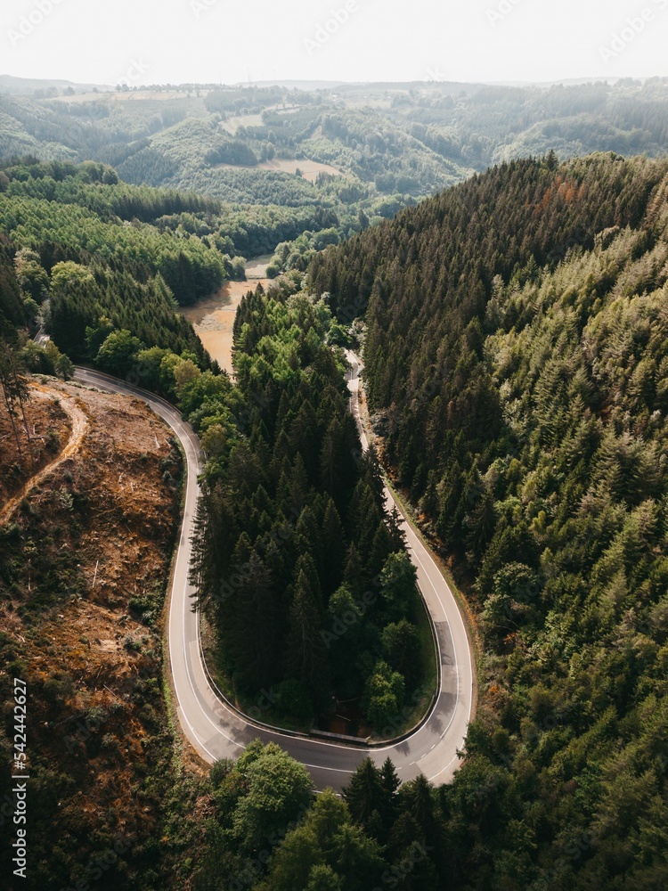 Vertical shot of long curved road through the forests
