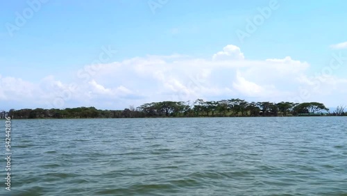 Cruising with a motorboat on the water passing by a white butterfly with an island in the background photo