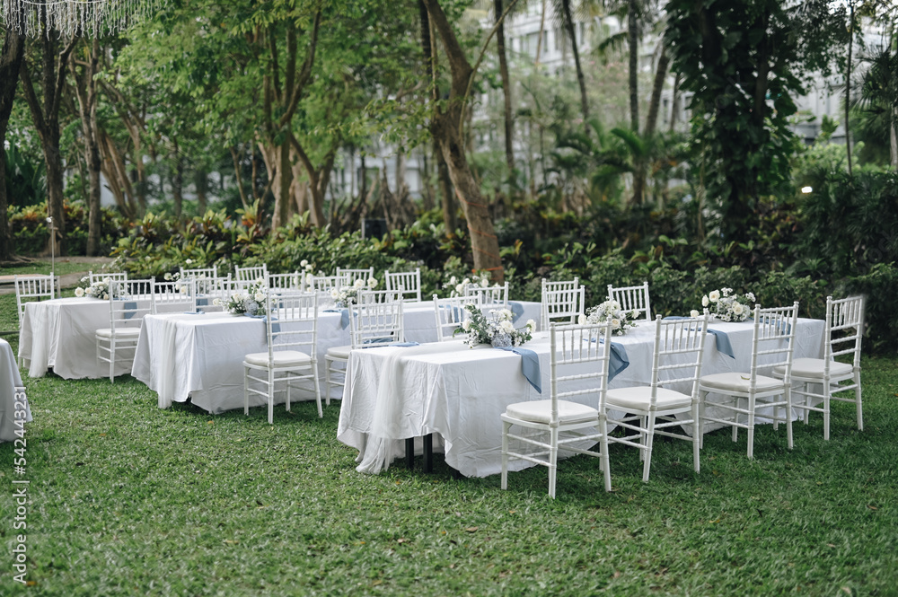 Fairy-tale with blue and white accent flowers theme. Clean white table setting for wedding ceremony or reception. Family intimacy dinner outdoors with starlight.