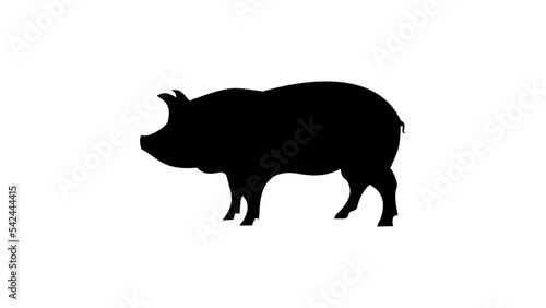 pig silhouette