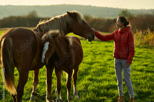 Foto Young happy woman stroking a horse foal in green field at sunset