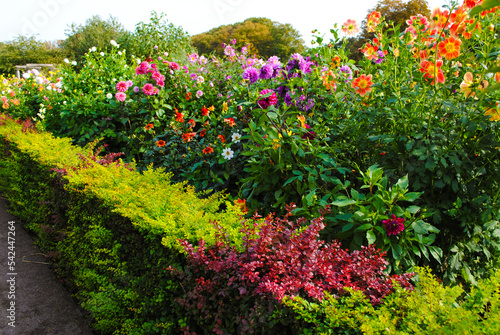 Wallpaper Mural Garden with Mixed Wildflowers Torontodigital.ca