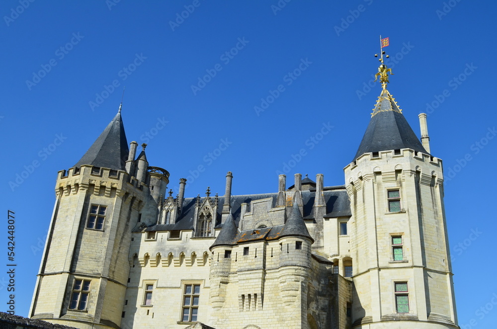 Le château de Saumur  (Maine et Loire - Pays de la Loire - France)