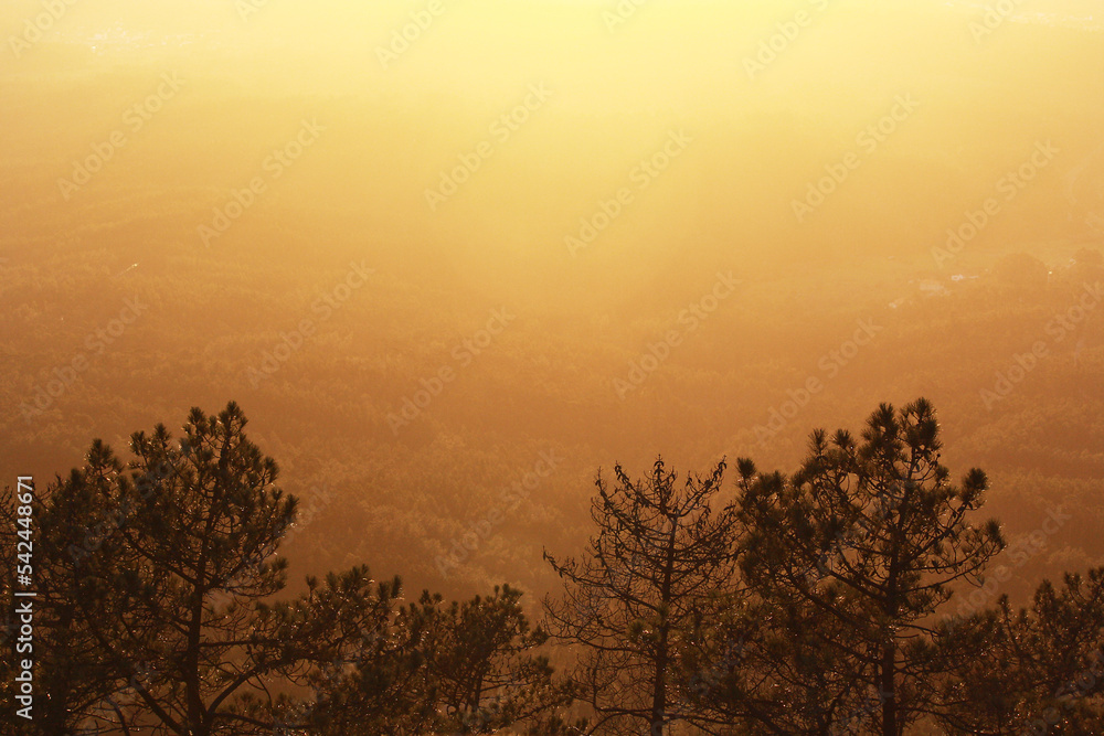 Bruma background Bruma background