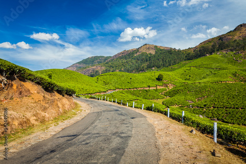 Kerala India travel background - road in green tea plantations in mountains in Munnar, Kerala, India