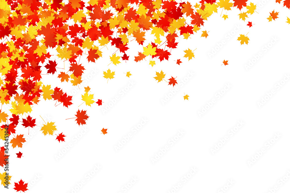 Scattering autumn maple leaves isolated PNG