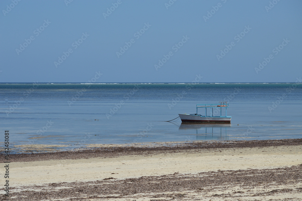 Obraz premium boat on the beach