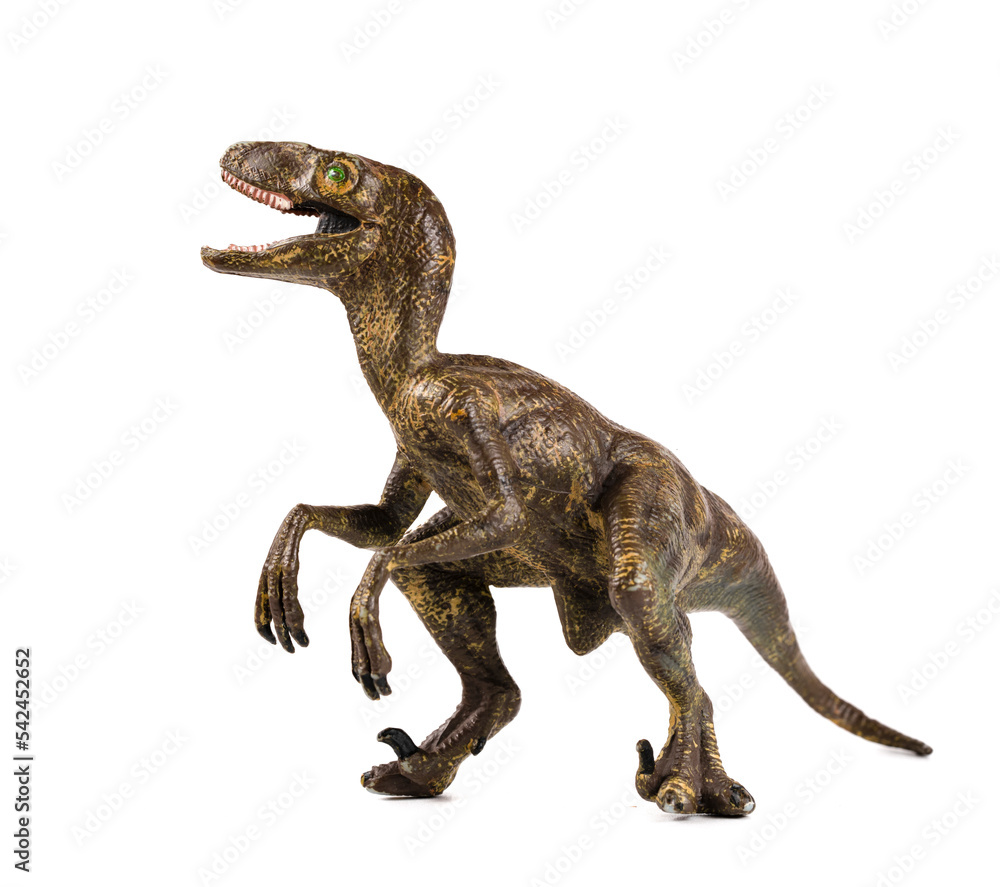 dinosaur toy on white background dinosaur toy on white background