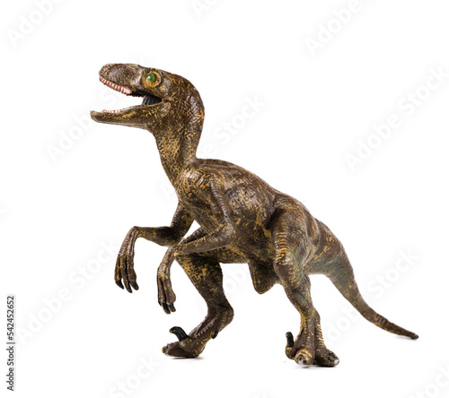dinosaur toy on white background