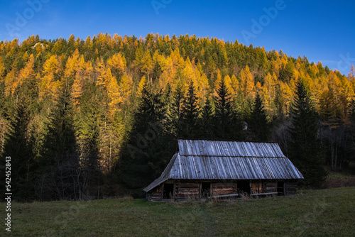 Obraz na płótnie szałas pasterski w górach krajobraz jesienny kolory Tatry w salonie