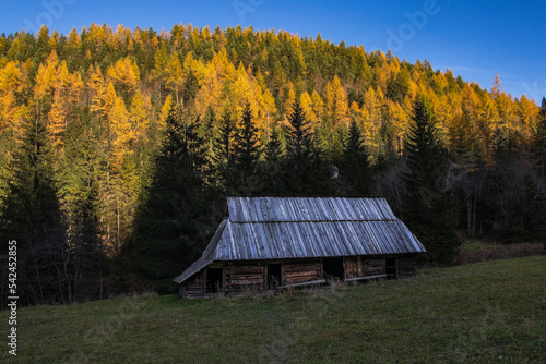 Obraz na płótnie szałas pasterski w górach krajobraz jesienny kolory Tatry w salonie