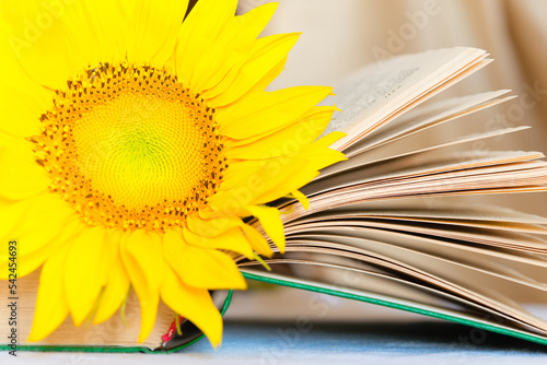 Bouquet of sunflowers in an old earthenware jug. In the foreground is an open book and a flower.	