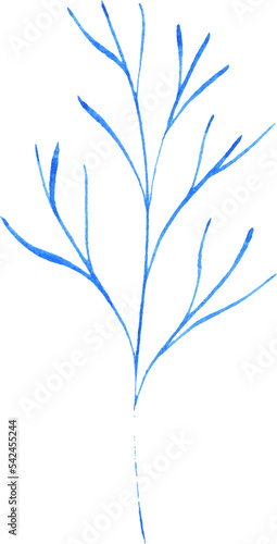 Blue tree branch. Watercolor illustration. Isolated on transparent. Beautiful decoration for your design.