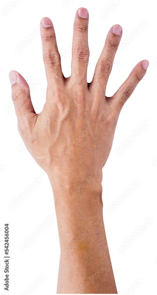 hand isolated and save as to PNG file hand isolated and save as to PNG file