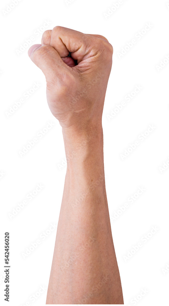 hand isolated and save as to PNG file hand isolated and save as to PNG file