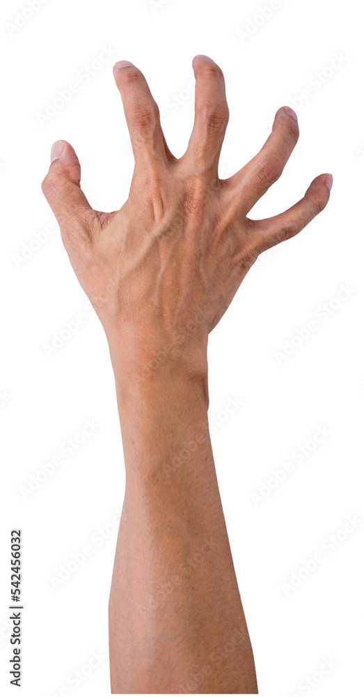 hands of the person isolated and save as to PNG file hands of the person isolated and save as to PNG file