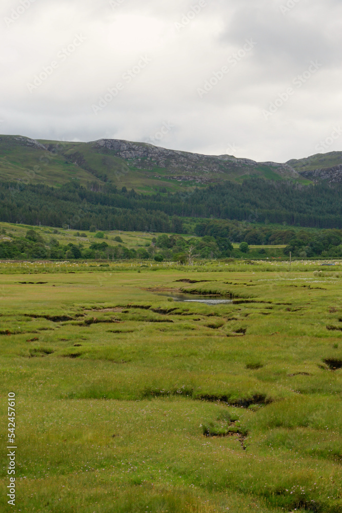 The bog at Dundonnell, Scotland. Near Little Loch Broom in the Scottish Highlands.