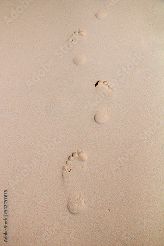 Footprints on the sandy beach by the ocean.