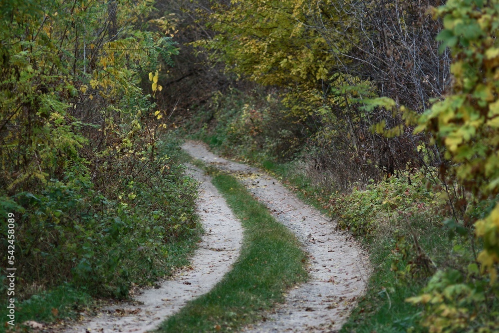 Autumn on the Trakhtemyriv Peninsula, Ukraine