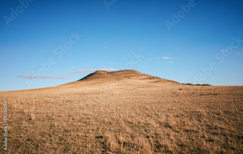 Landscape shot of the Georgian steppe Udabno in Georgia. Yellow-gold tall grass  wide land and blue sky. endless fields. A hill in the distance