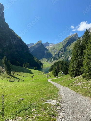 Vertical of a beautiful landscape of a green valley trail surrounded by alpine mountains