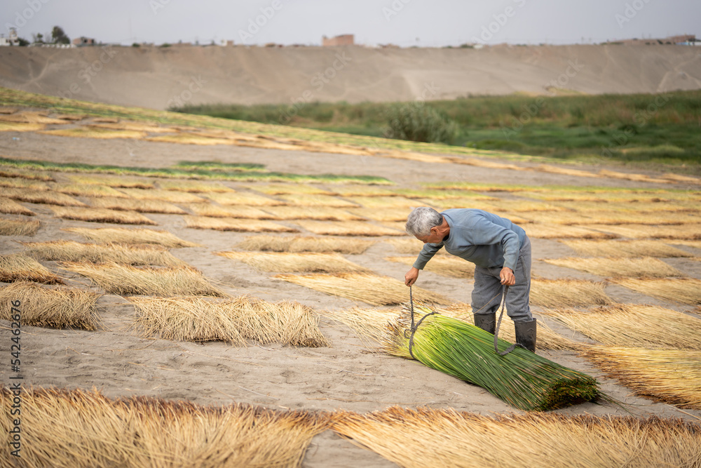 Man drying grass on slope Man drying grass on slope