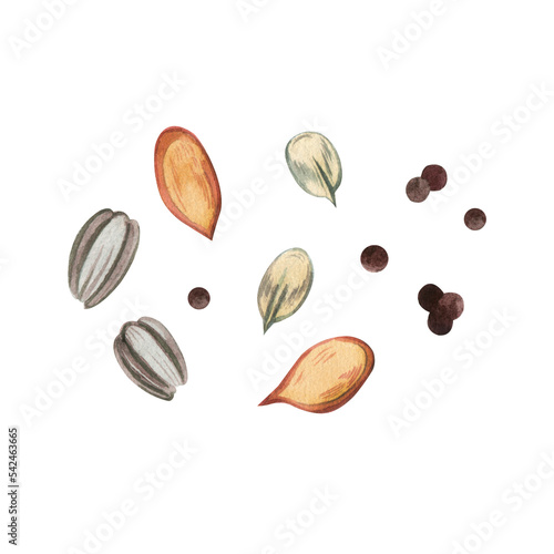 Watercolor set of seeds of indoor and garden flowers and plants, all elements are hand-painted in watercolor on a white background. Suitable for printing on packages, in books.