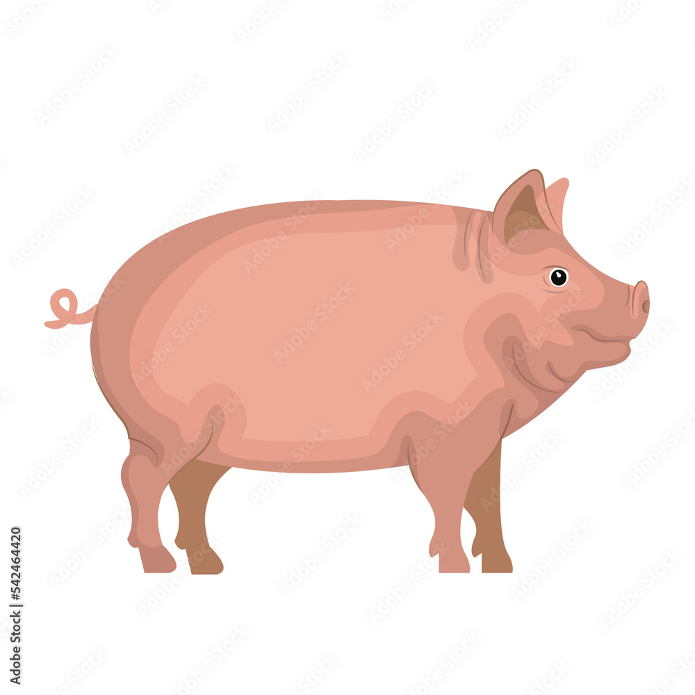 Pig PNG Format With Transparent Background Pig PNG Format With Transparent Background